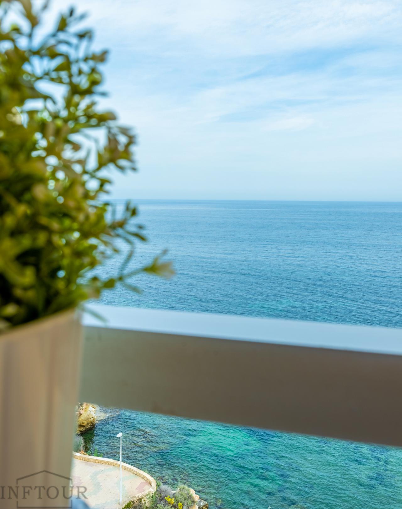 Horizonte 8