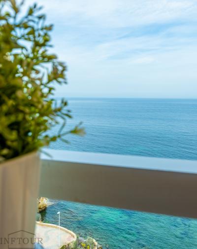 Horizonte 8